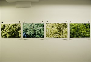 Galerie Kriens

Wind, Ausstellungsansicht 2010