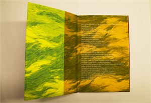 
Close
Edition Franz M&auml;der, Basel, 2007

M&auml;derheft Nr. 7, 29 x 19.5cm, Auflage 25, Text: Sabina Naef , Bild: manueller Tiefdruck
