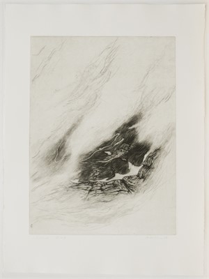 Nebel

1.Zustand, 1986, 76 x 56cm, Auflage 4