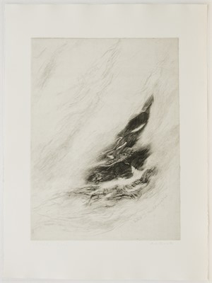 Nebel

2.Zustand, 1986, 76 x 56cm, Auflage 4