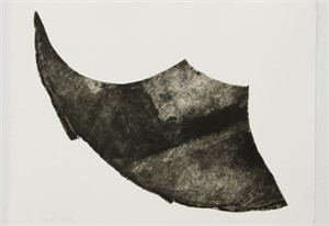 Blech, 1986, 38 x 56cm, Auflage 3