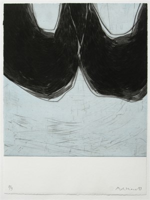 Edition Franz M&auml;der, Basel

kleine Raumfahrt 4, 1999, 48 x 38cm, Auflage 9