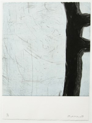 Edition Franz M&auml;der, Basel

kleine Raumfahrt 1, 1999, 48 x 38cm, Auflage 9