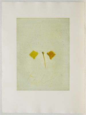 ohne Titel, 1989, 76 x 56cm, Auflage 4
